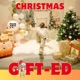 Christmas Gift Ed
