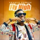 Fly High Single