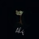 Alef Single
