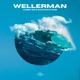 Wellerman feat Nathan Evans Orchestral Version Single