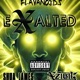 eXalted feat Xzibit Shua James Single