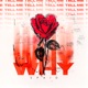 Tell Me Why Single