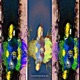 I M SEARCHING THROUGH THE NIGHT EP