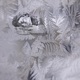 Ice feat Nvxntheprod Asta Single
