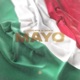 Mayo Extended Mix Single