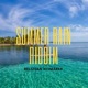 Summer Rain Riddim Instrumental Single