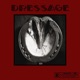 DRESSAGE Single