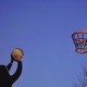 courtside Single