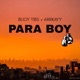 Para Boy Single