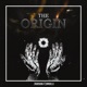 The Origin Single