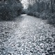 Noveplace Single