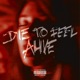 Die To Feel Alive Single