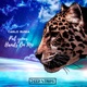Put Your Hands On Me EP