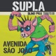 Avenida São João feat Henrike Baliú Single