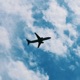flight mode Single
