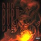 Burn Single