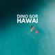 Hawai with Dino Sor