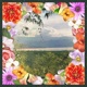 Dreaming Single