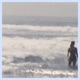 San Diego Single
