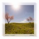 Spring Single