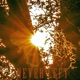 Never Left feat Eddie Valiant Single