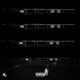 COLLAPSE EP