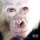 ZULU MILK EP