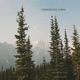 timberline tapes EP