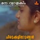 Mana Vyaalakim From Chirattakkalippaattangal Single