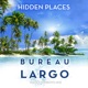 Hidden Places Wavecowboys Mix Single