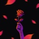 Pétalas De Rosas feat vic Single