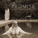 The Promise Single