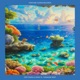 Paradise Reef Single