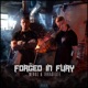 Forged in Fury Single