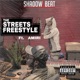 THE STREETS FREESTYLE feat AMIRI Single