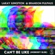 Can t Be Like Nobody Else feat Brandon Pulphus Single