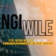 Ngiwile feat DJ Mavu Mfana We Style Thee Don Single