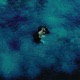 Water Single