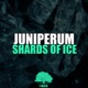Shards of Ice Single