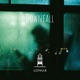 Downfall Single