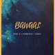 Bawaal Single