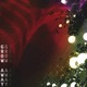 Grow Away EP