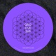 Groove 369 Single
