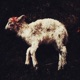 The Lamb EP