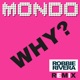 Why Robbie Rivera Remix Single