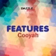 Features Single