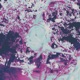 Broken Watch Single