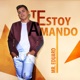 Te Estoy Amando Single