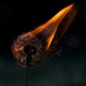 DIMMED FLAMES EP