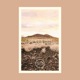 Paradise Lost Not Demure Remix Single